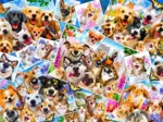Selfie Pet Collage