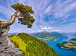 View of the Lake of Uri, Switzerland
