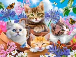 Kittens with Flowers