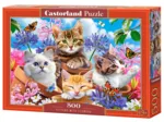 Kittens with Flowers