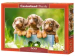 Cute Puppies