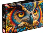 Colorful Owl