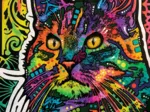 Necessity Cat
