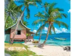 Landscape - Tropical Beach Palawan - Philippines