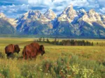 Grand Teton National Park