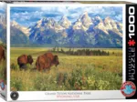 Grand Teton National Park