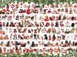 Holiday Dogs