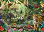 Colourful Jungle Wildlife