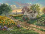 Sunflower Fields