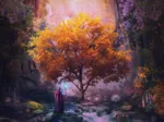Enchanted Forest