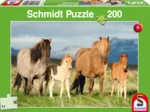 Horse Family