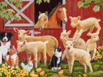 Farm Animals