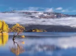 Wanaka's Golden Reflections