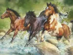 Three Wild Horses