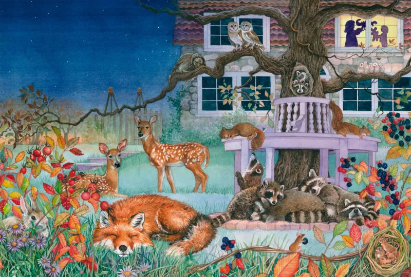 Nightly animal visit