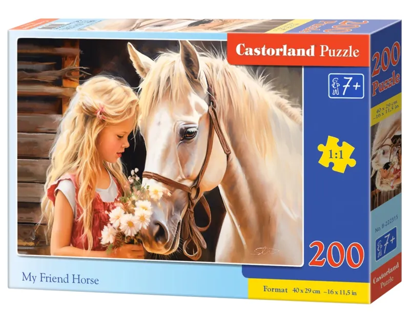 My Friend Horse