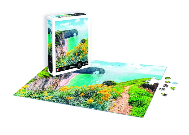 Landscape - The Cliffs Of Etretat - Normandy