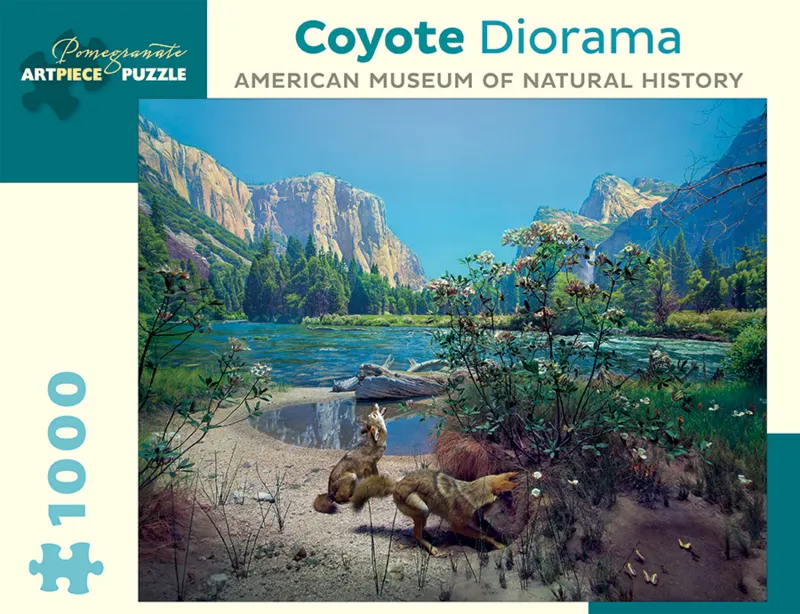 Coyote Diorama - American Museum of Natural History