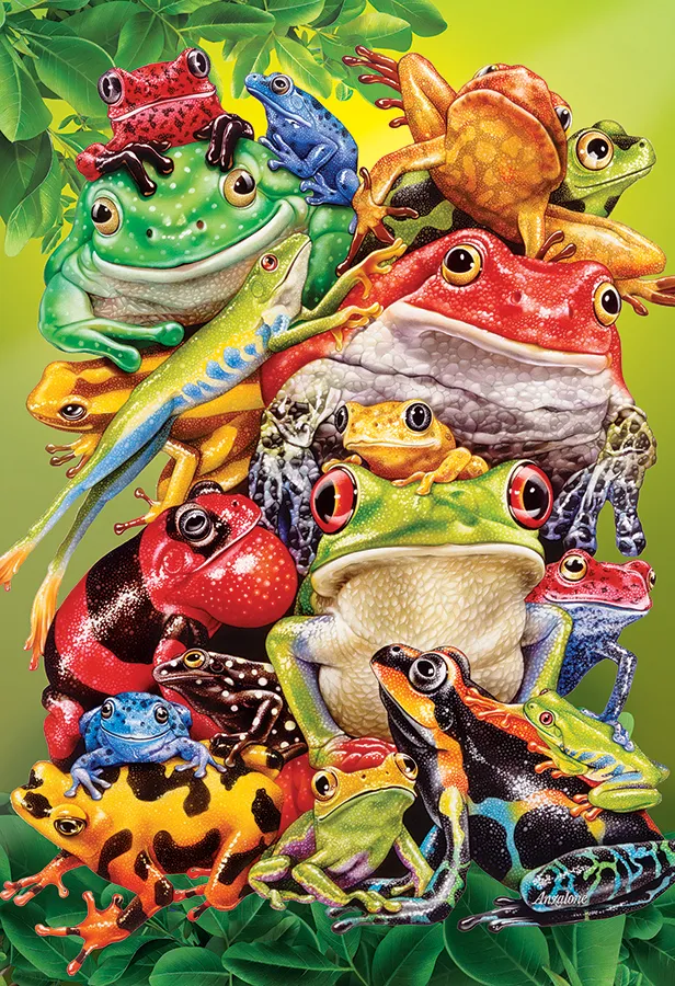 XXL Pieces - Frog Business
