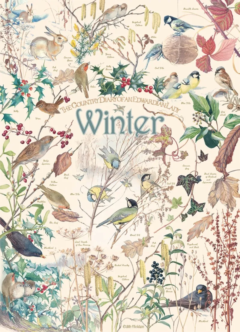 Country Diary - Winter