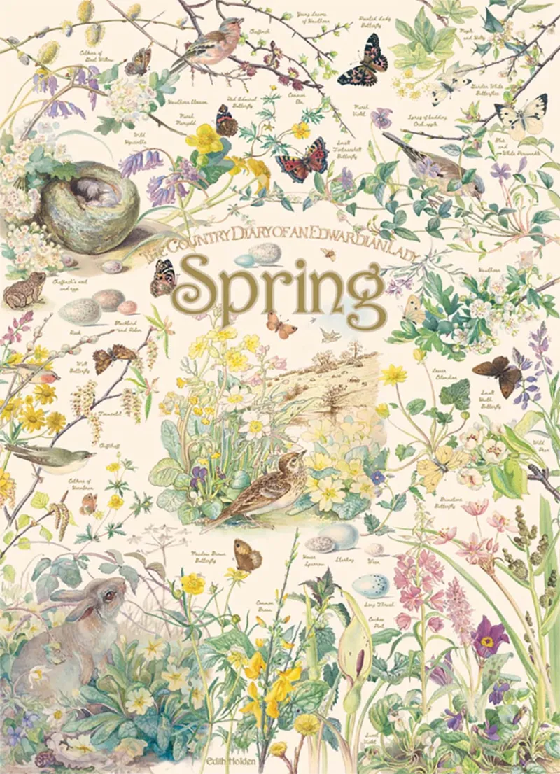Country Diary - Spring