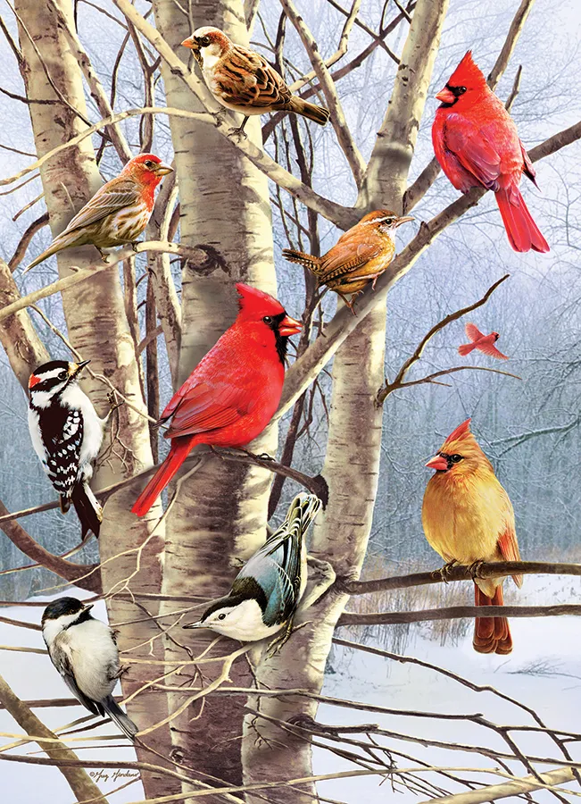 Winter Birds