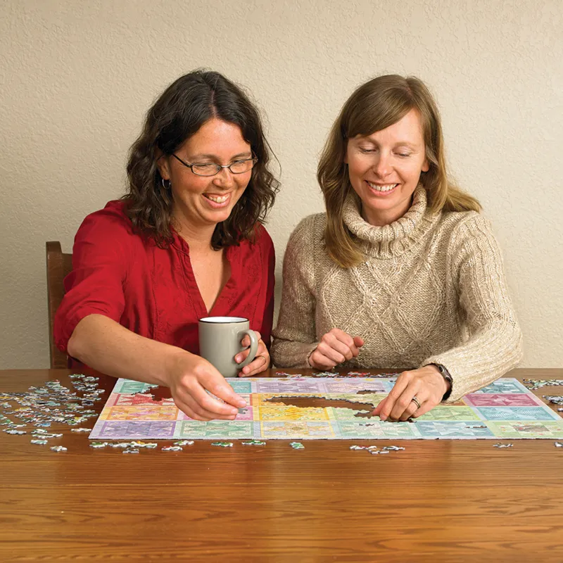 Star Quilt Seasons - Random Cut