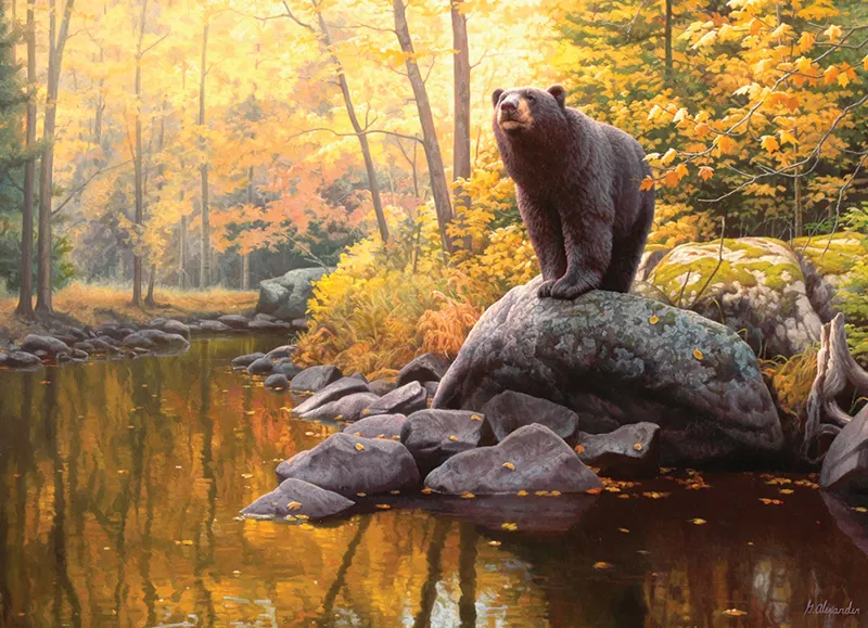Black Bear Pond