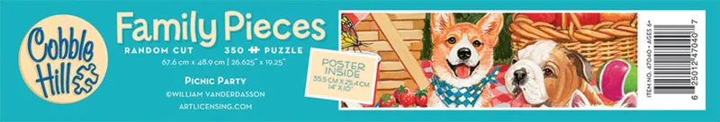 Family - Picnic Party