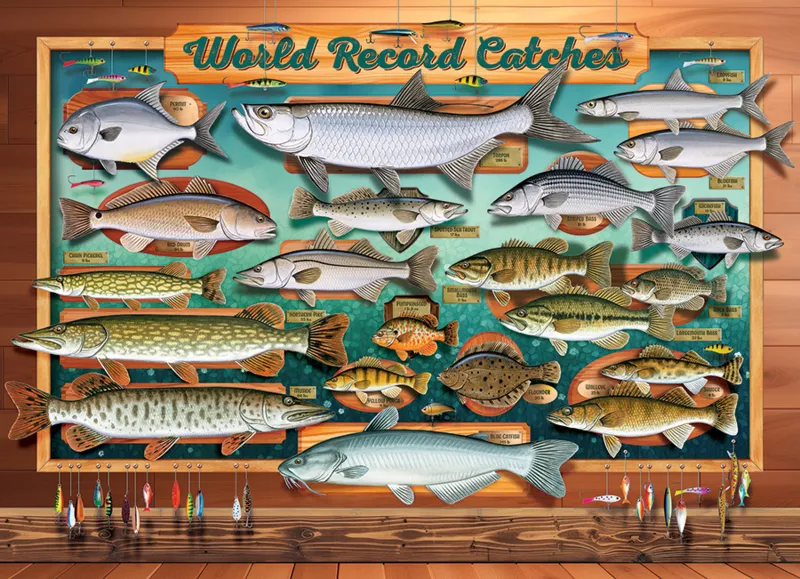 XXL Pieces - World Record Catches