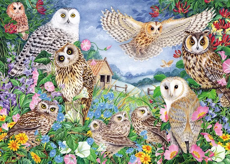 Owls in the Woods