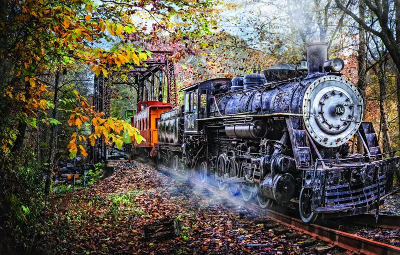 Celebrate Life Gallery - Train's Coming