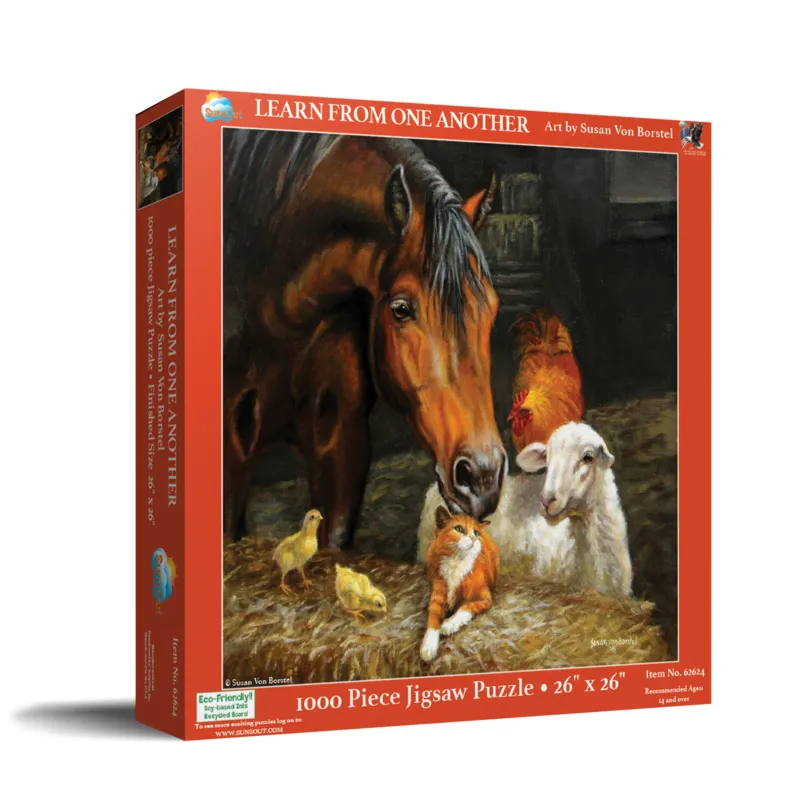 Learn from Each Other