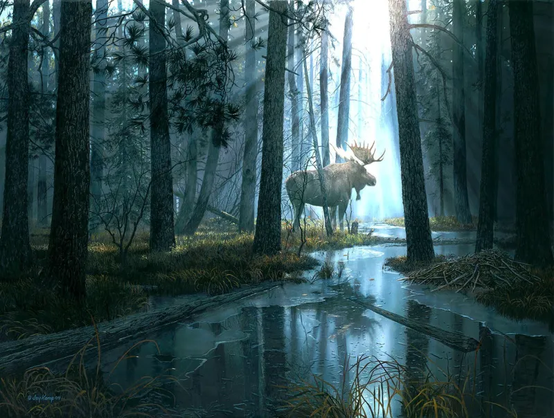 XXL Pieces - Caught by Light