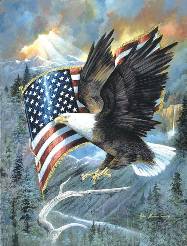 XXL Pieces - American Eagle