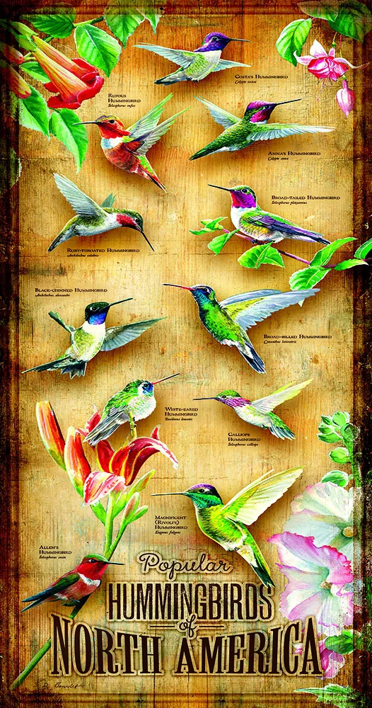 XXL Pieces - Hummingbirds of North of America