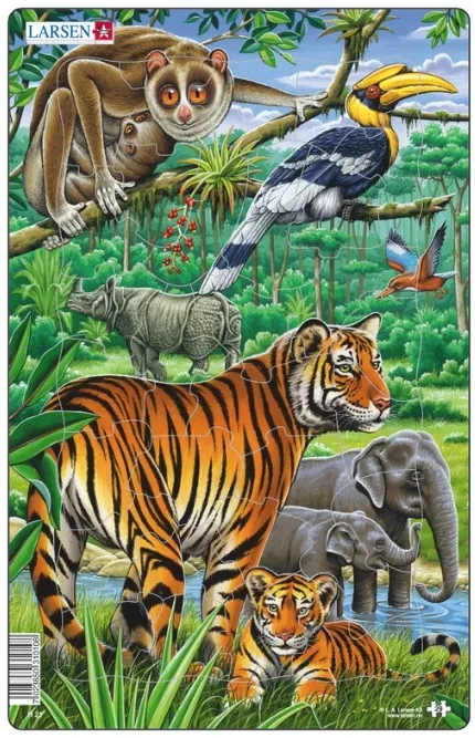 Frame Jigsaw Puzzle - Jungle