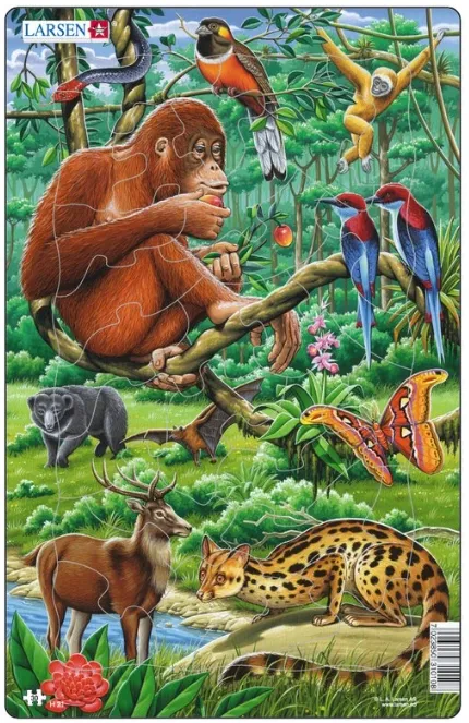 Frame Jigsaw Puzzle - Jungle