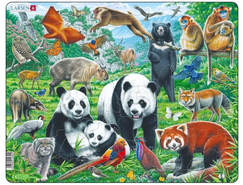 Frame Puzzle - Panda Bear Family on a China Mountain Plateau
