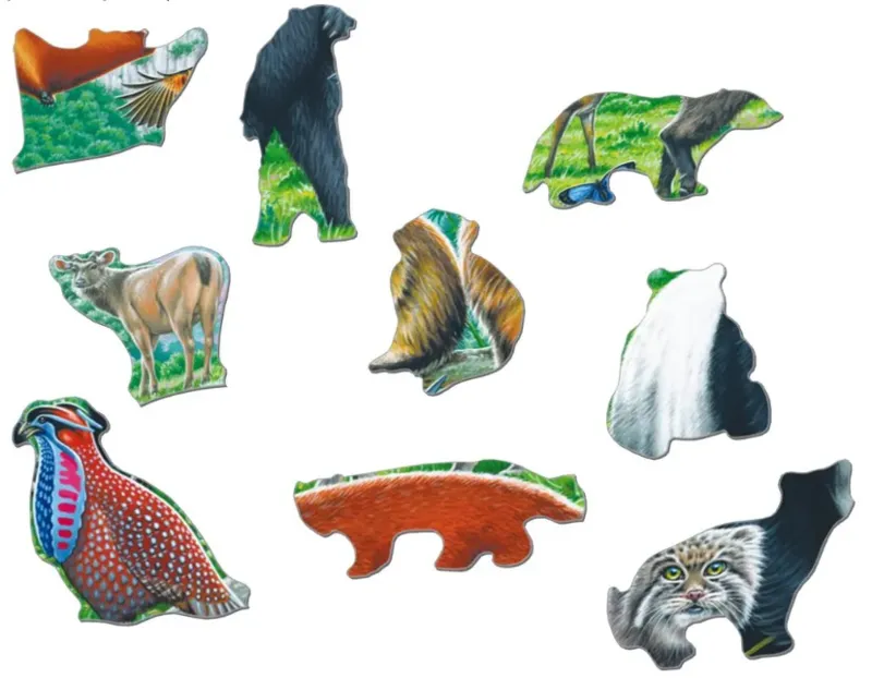 Frame Puzzle - Panda Bear Family on a China Mountain Plateau