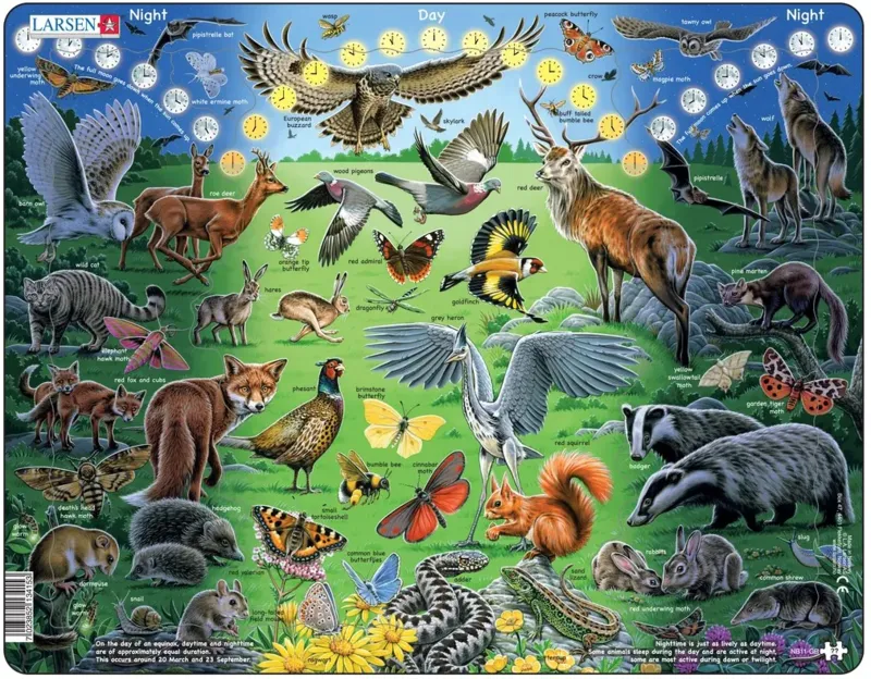 Frame Puzzle - Night and Day (in English)