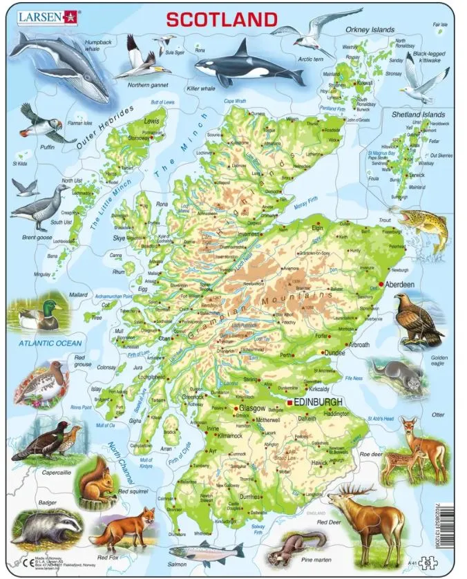 Frame Puzzle - Scotland Topographic Map (English)