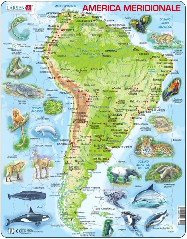 Frame Puzzle - South America Topographic Map (Italian)