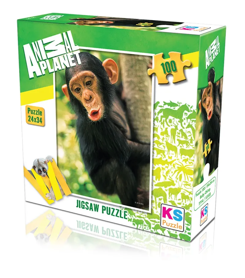 Baby Chimp