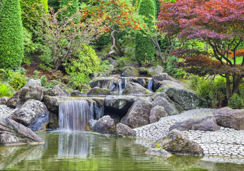 Deutschland Edition - Waterfall At Japanese Garden, Bonn