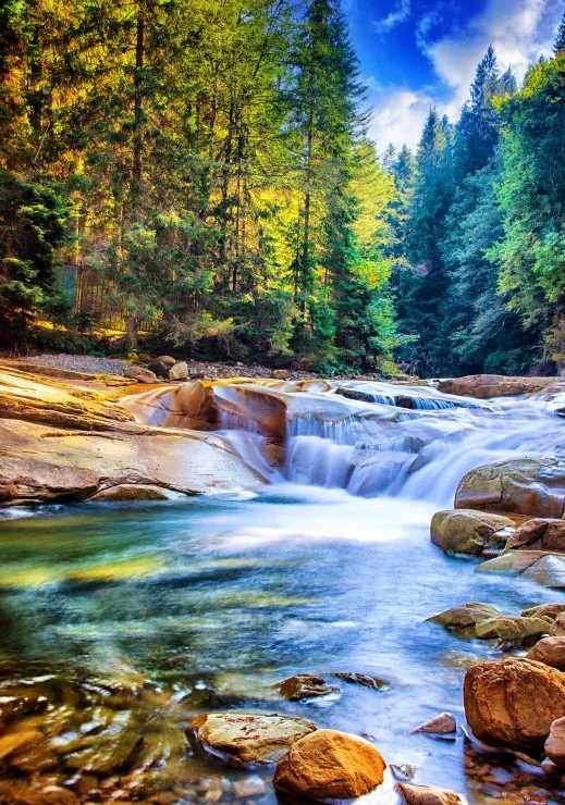 Beautiful Waterfall in the Forest