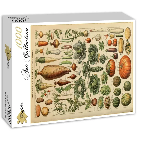 Illustration du Larousse pour Tous: Légumes et Plantes Potagères, XIXè Siècle