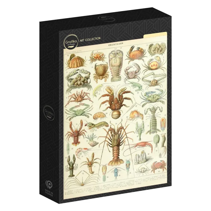 Illustration from Larousse : Crustaceans