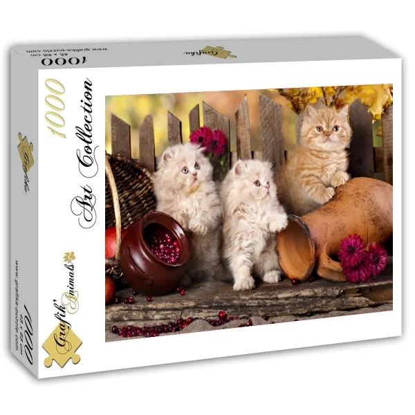 Persian Cats
