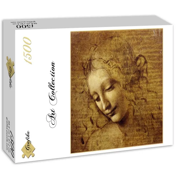 Leonardo da Vinci : The Face of Giovane Fanciulla, 1508